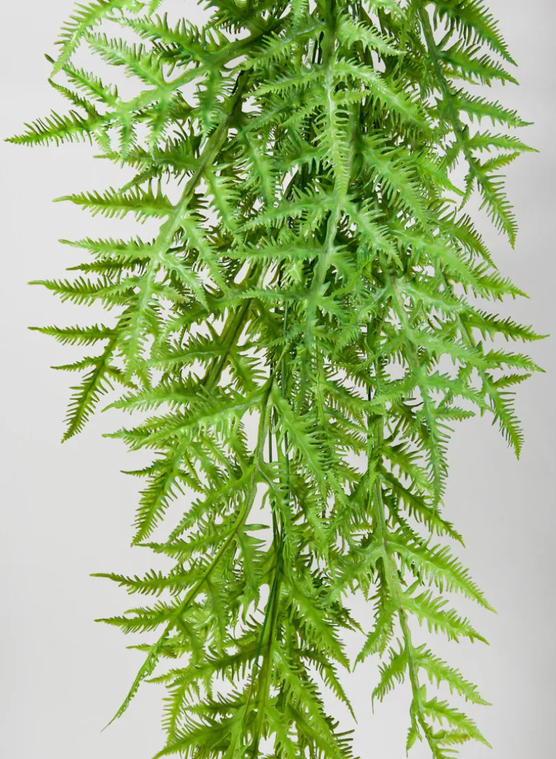 50in Long Tropical Fern Hanging