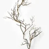 52in Long Twig Vine, Case of 6