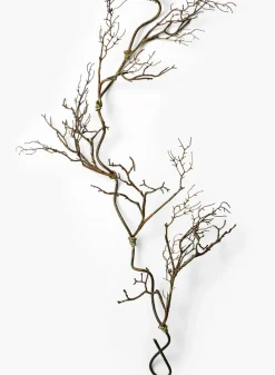 52in Long Twig Vine, Case of 6