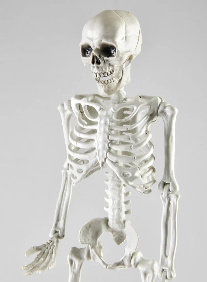 20in Long Uncle Alfred Adjustable Full Skull