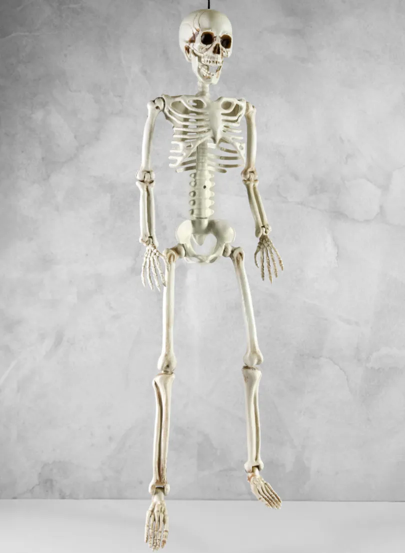 20in Long Uncle Alfred Adjustable Full Skull