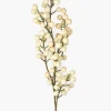 27in Long White Berry Pick, Case of 12