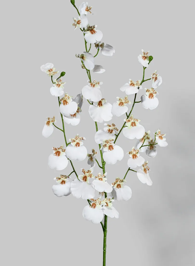 36in Long White Dancing Orchid Spray, Case of 12