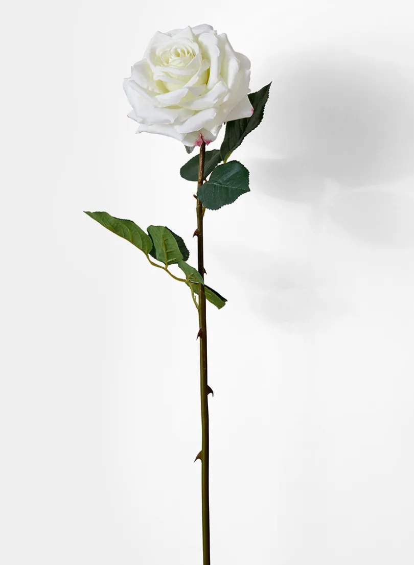 31in Long White Garden Rose, Case of 12