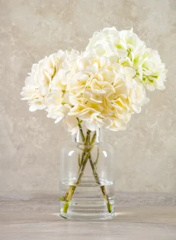 14in Long White Hydrangea in Clear Glass Vase
