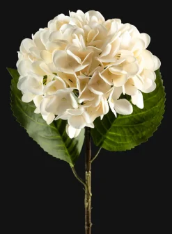 22in Long White Hydrangea Spray, Case of 12