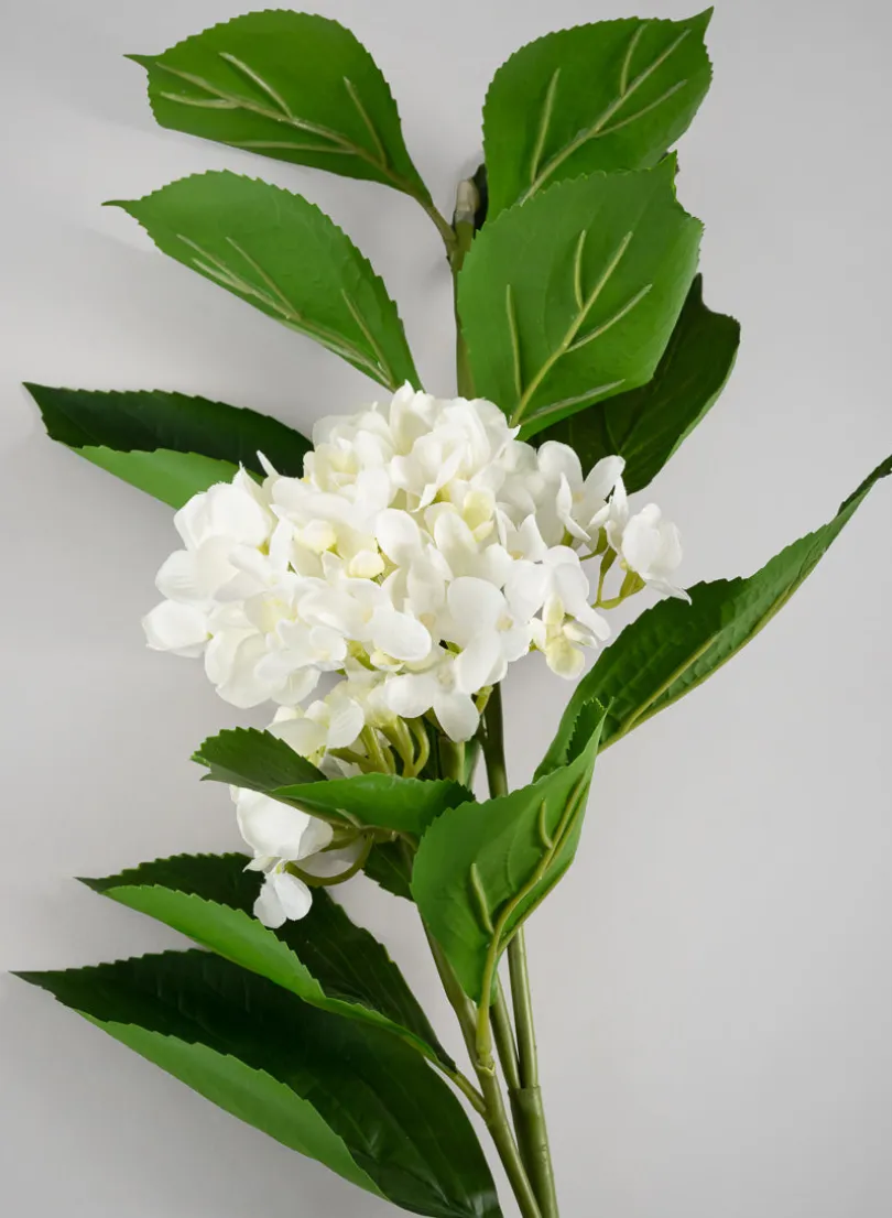 32in Long White Hydrangea Spray, Case of 6