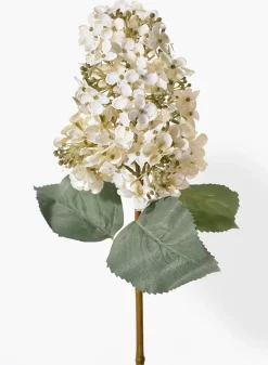 20in Long White Panicle Hydrangea, Case of 12