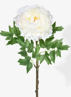 26in Long White Peony Stem, Case of 12