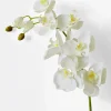 43in Long White Phalaenopsis Orchid Spray, Case of 12