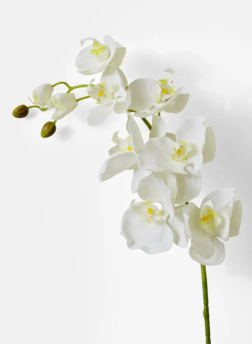 43in Long White Phalaenopsis Orchid Spray, Case of 12