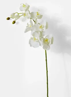 43in Long White Phalaenopsis Orchid Spray, Case of 12