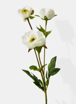 25.5in Long White Princess Peony, Case of 12
