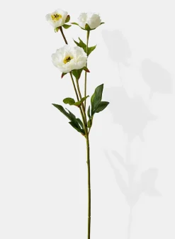 25.5in Long White Princess Peony, Case of 12