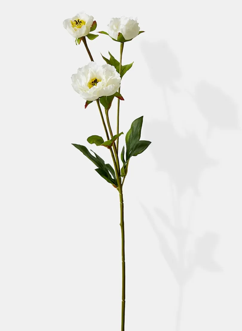 25.5in Long White Princess Peony, Case of 12