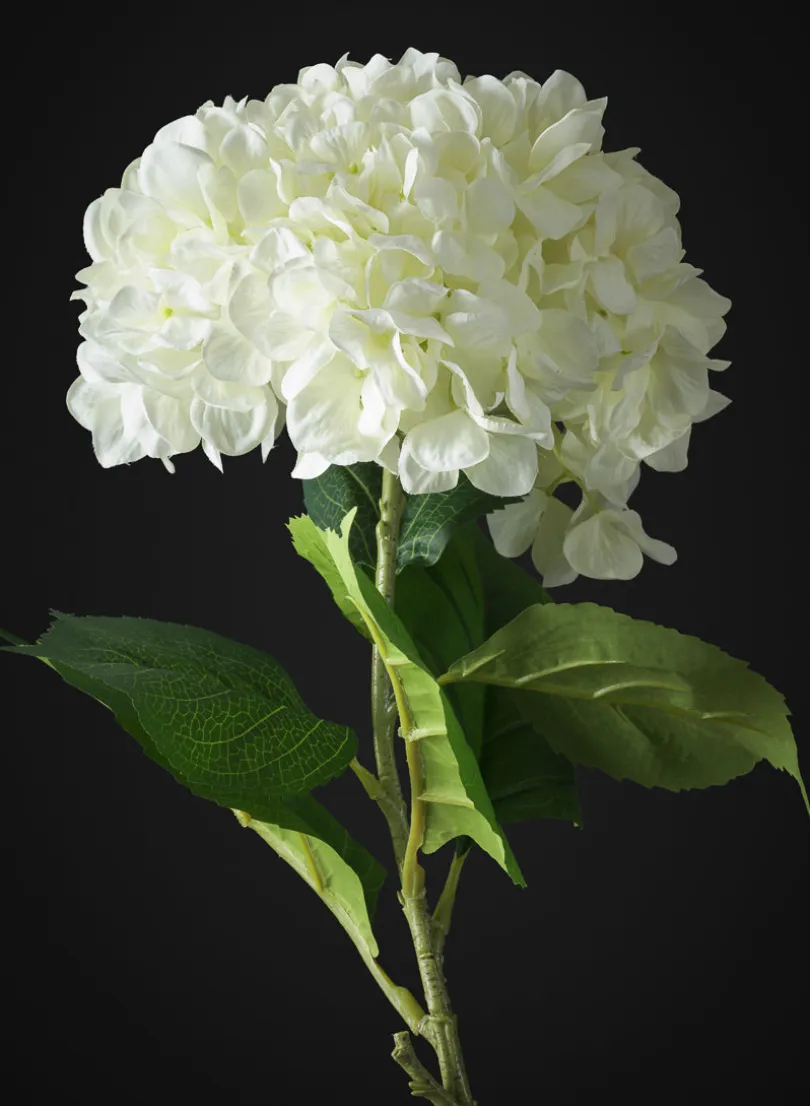 42in Long White Real Touch Mophead Giant Hydrangea Stem, Case of 6