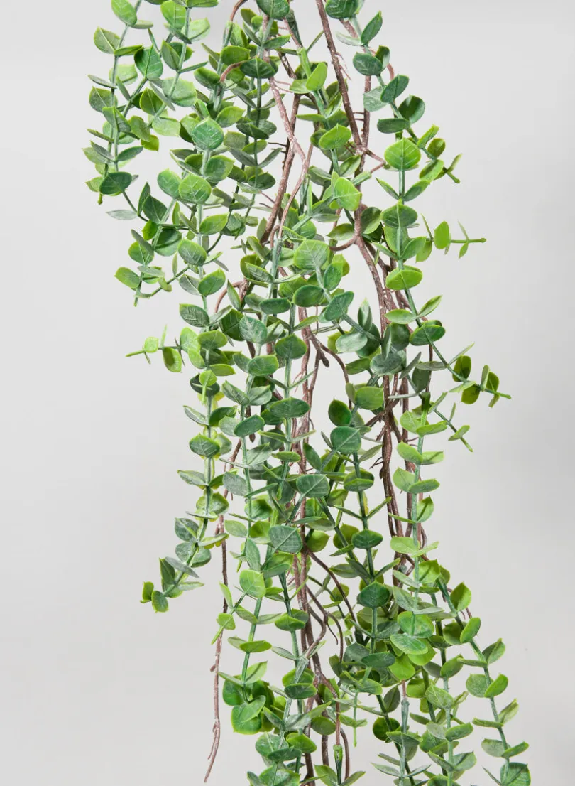 55in Long Woody Eucalyptus Garland, Case of 6