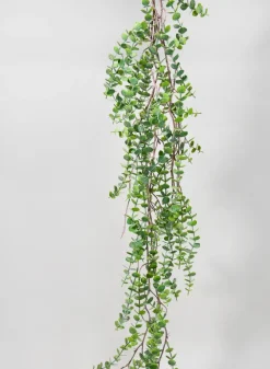 55in Long Woody Eucalyptus Garland, Case of 6