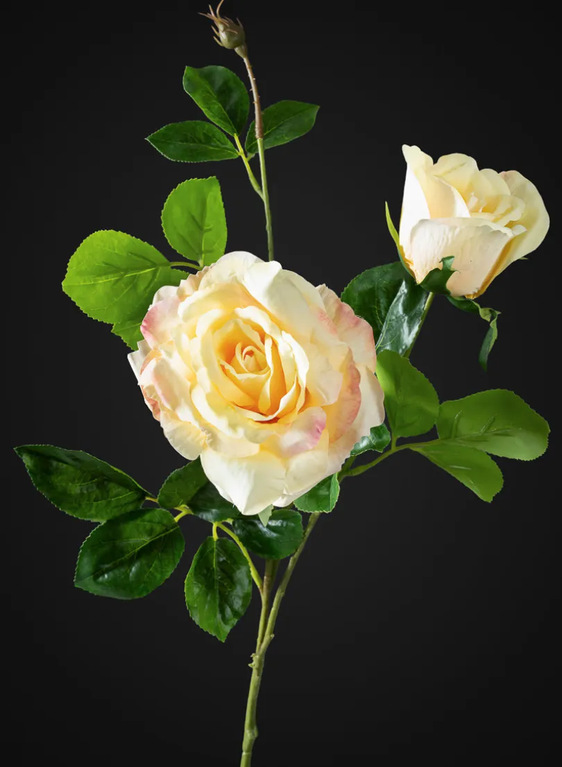 32in Long Yellow Real Touch Garden Rose Spray, Case of 12