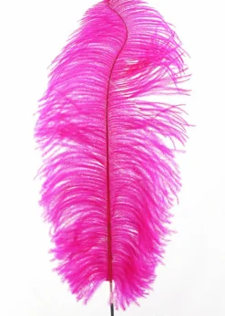 18 - 20in Magenta Ostrich Feather
