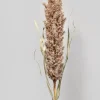 42in Natural Pampas Grass Reed, Case of 12
