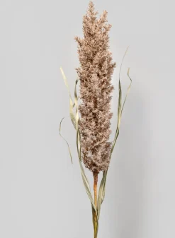 42in Natural Pampas Grass Reed, Case of 12