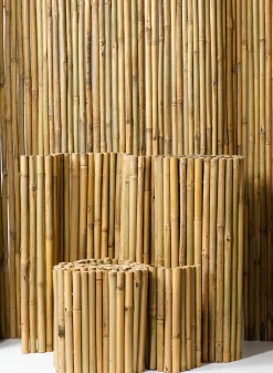 Inside-Wired Bamboo Fences
