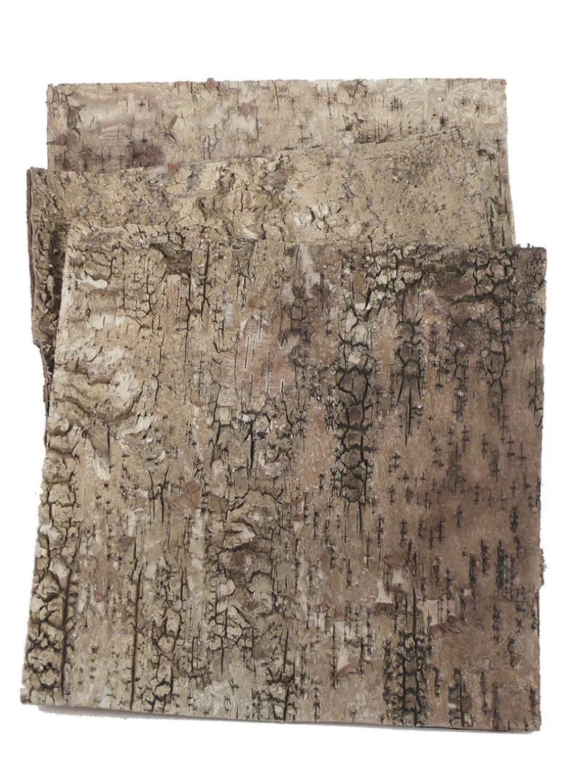 12in Square Birch Bark, Set of 7