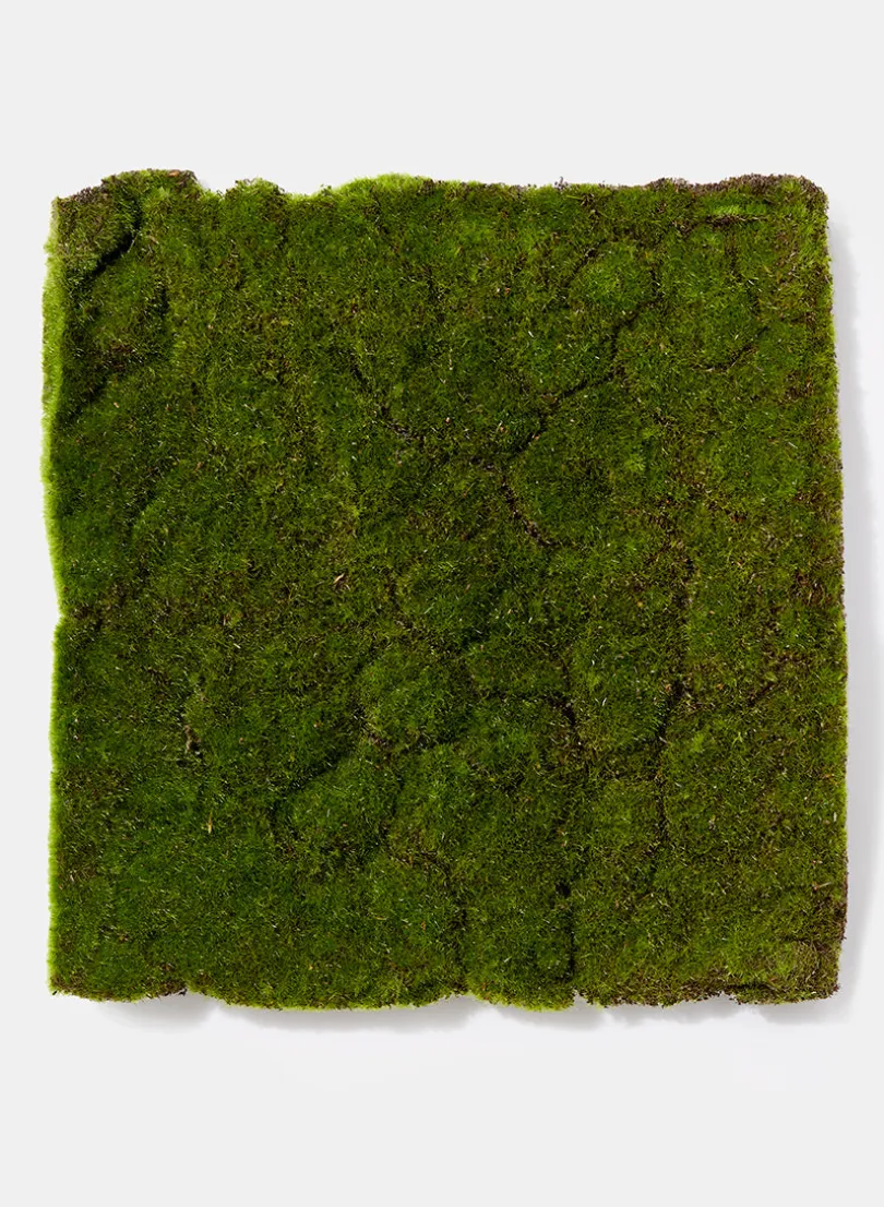 16in Square Flocked Moss Mat