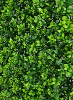 20in Square Mature Boxwood Mat – UV-Resistant (Indoor/Outdoor