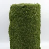18in Square Moss Mat