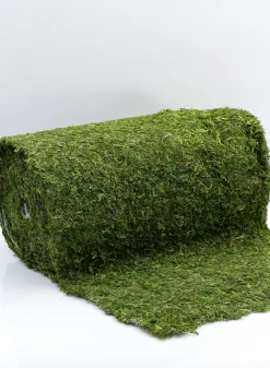 18in Square Moss Mat