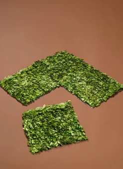 12in Square Preserved Boxwood Mat