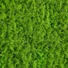 20in Square UV-Resistant Realistic Evergreen Moss Mat (Indoor/Outdoor)