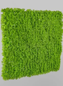 20in Square UV-Resistant Realistic Evergreen Moss Mat (Indoor/Outdoor)
