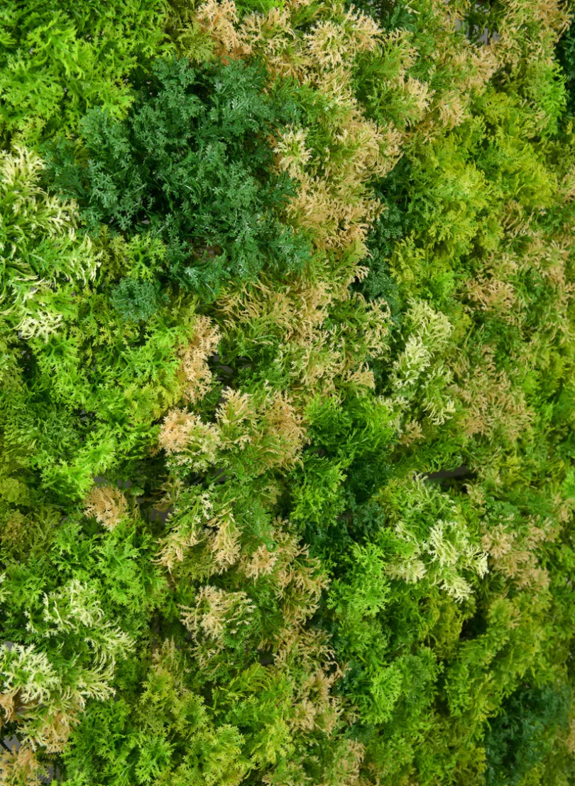 40in Square UV-Resistant Tropical Green Tone Reindeer Moss Mat (Indoor/Outdoor)