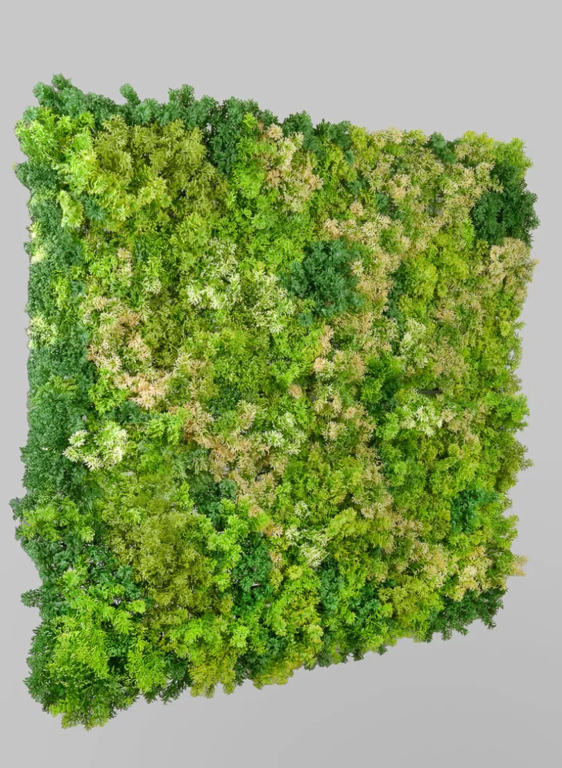 40in Square UV-Resistant Tropical Green Tone Reindeer Moss Mat (Indoor/Outdoor)