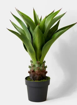 29in Tall Agave Plant