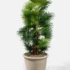 16in Tall Antique White Stone Kiri Planter