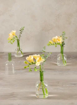 5in Tall Archimedes Green Tip Tubular Glass Vase, Mini, Set of 4