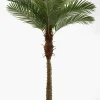 72in Tall Areca Palm Tree