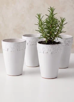 6in Tall Aurelie Rose Border Ceramic Cachepot, Set of 4