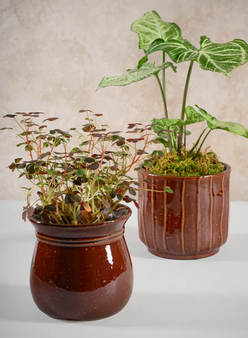 5in Tall Aveiro Oxblood Red Bell Ceramic Planter
