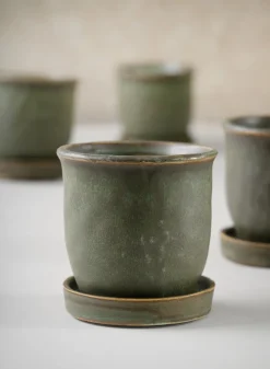 3in Tall Azra Aged Green Ceramic Pot with Saucer, Set of 4