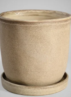 5in Tall Azra Light Brown Ceramic Pot with Saucer
