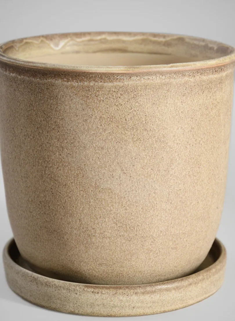 5in Tall Azra Light Brown Ceramic Pot with Saucer