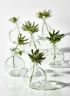 4in Tall Ball Glass Bud Vase