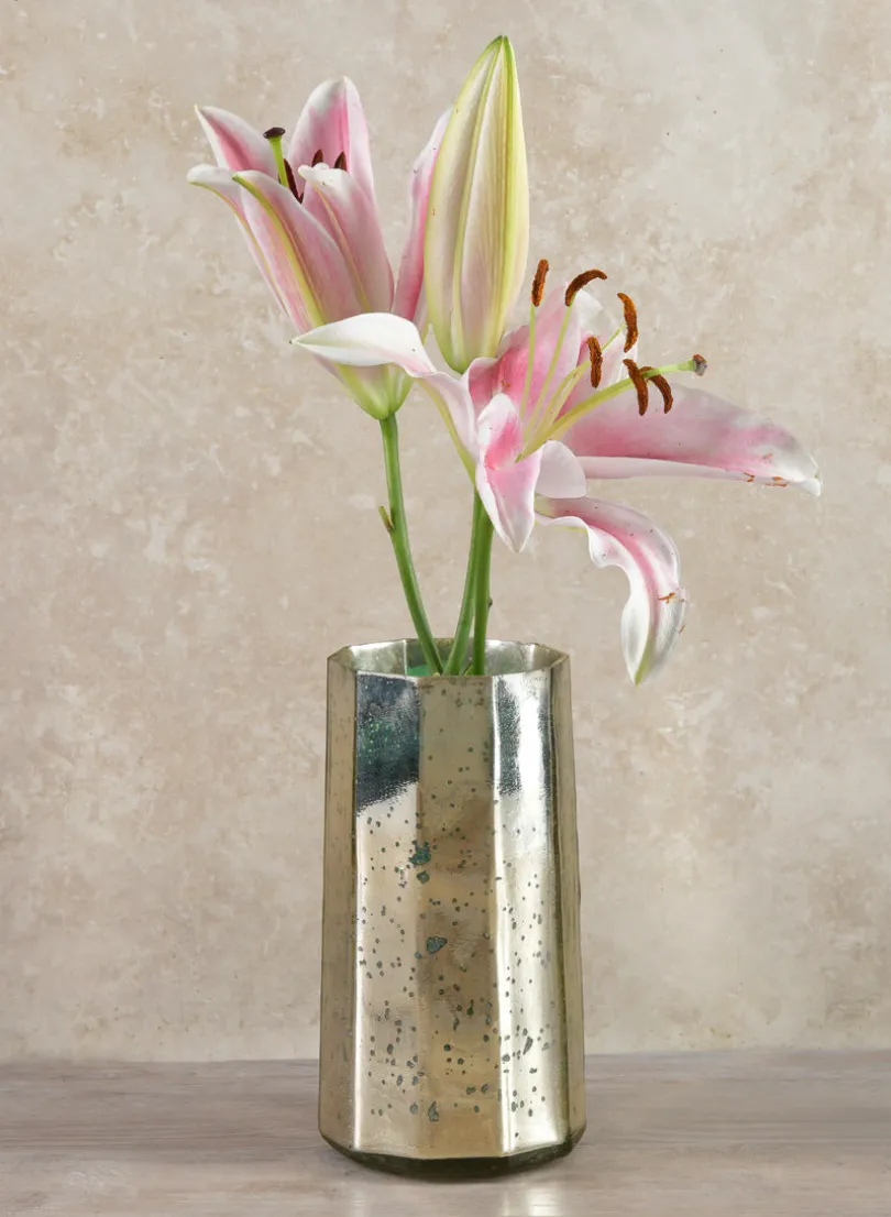 8in Tall Behram Old Silver Mercury Glass Vase