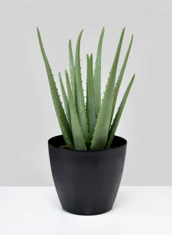 5.5in Tall Black Elegance Iron Cachepot, Set of 2