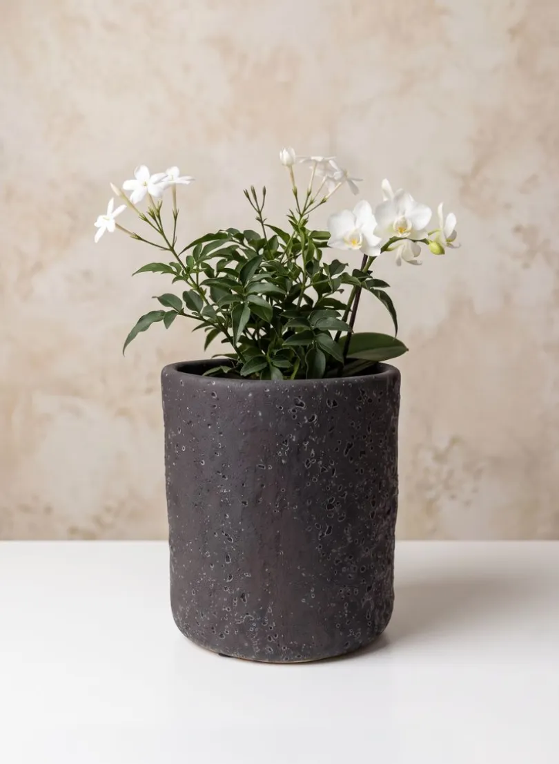7in Tall Boheme Black Lava Ceramic Cylinder Pot, Case of 6